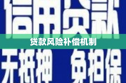 沈河贷款风险补偿机制