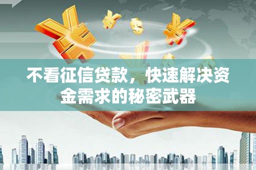 沈河不看征信贷款，快速解决资金需求的秘密武器