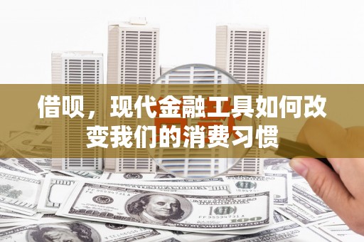 沈河借呗，现代金融工具如何改变我们的消费习惯