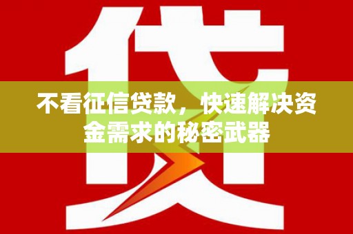 沈河不看征信贷款，快速解决资金需求的秘密武器