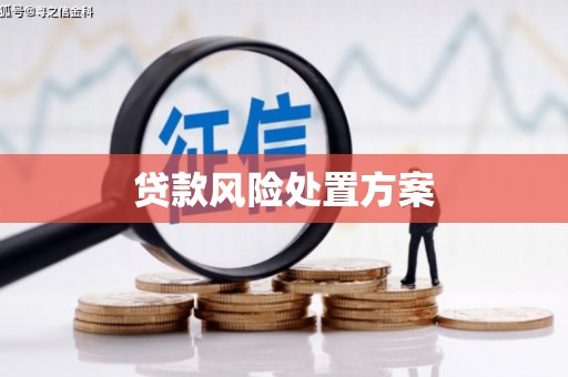 沈河贷款风险处置方案