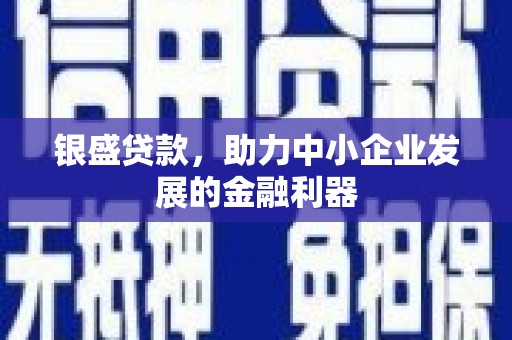 沈河银盛贷款，助力中小企业发展的金融利器
