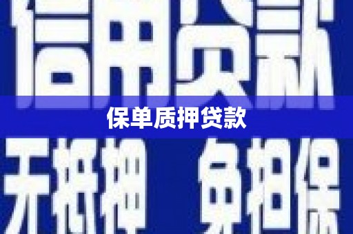 沈河保单质押贷款