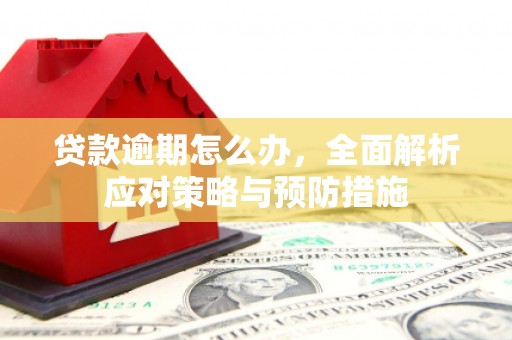 沈河贷款逾期怎么办，全面解析应对策略与预防措施