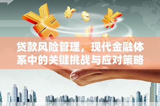 沈河贷款风险管理，现代金融体系中的关键挑战与应对策略