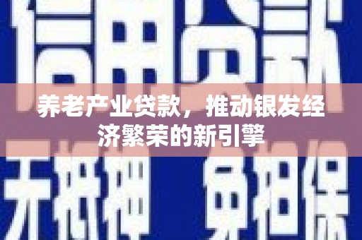 沈河养老产业贷款，推动银发经济繁荣的新引擎