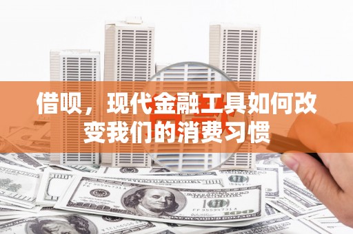 沈河借呗，现代金融工具如何改变我们的消费习惯