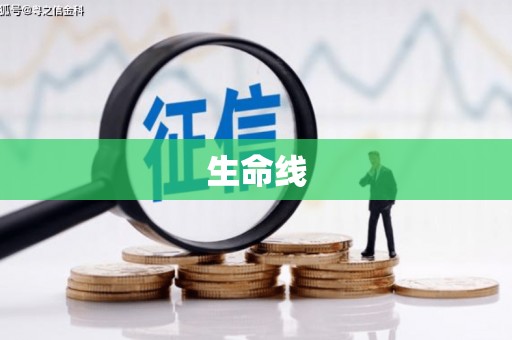 沈河生命线