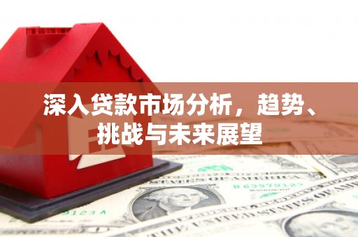 沈河深入贷款市场分析，趋势、挑战与未来展望