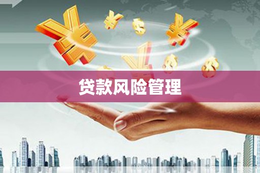 沈河贷款风险管理