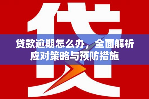沈河贷款逾期怎么办，全面解析应对策略与预防措施