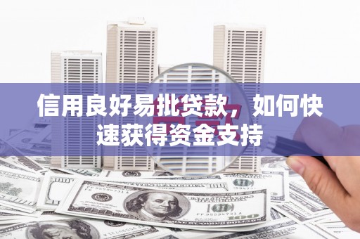 沈河信用良好易批贷款，如何快速获得资金支持