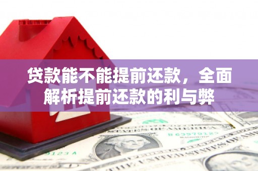 沈河贷款能不能提前还款，全面解析提前还款的利与弊