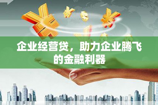 沈河企业经营贷，助力企业腾飞的金融利器
