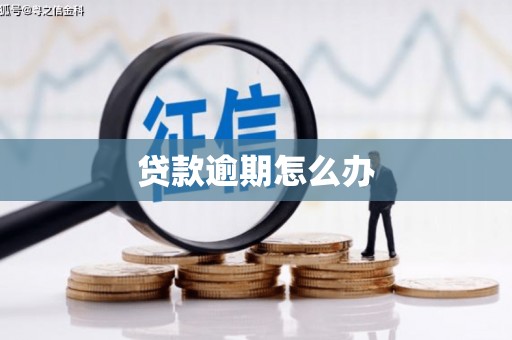 沈河贷款逾期怎么办