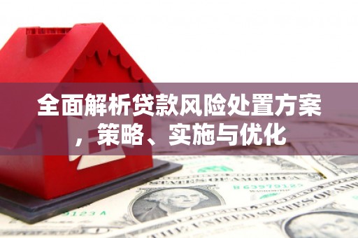 沈河全面解析贷款风险处置方案，策略、实施与优化