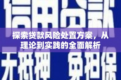沈河探索贷款风险处置方案，从理论到实践的全面解析