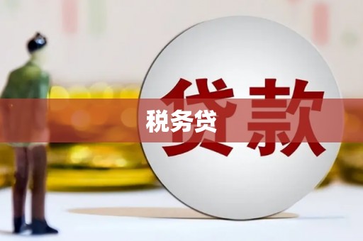沈河税务贷