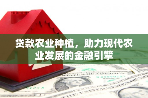 沈河贷款农业种植，助力现代农业发展的金融引擎