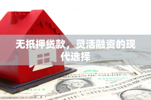 沈河无抵押贷款，灵活融资的现代选择