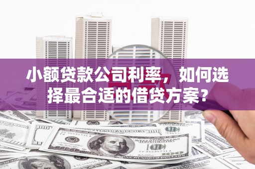 沈河小额贷款公司利率，如何选择最合适的借贷方案？
