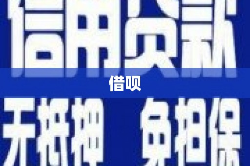 沈河借呗