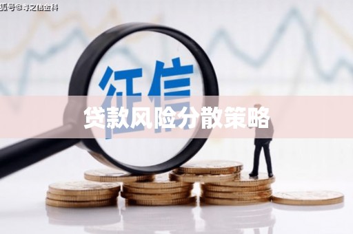 沈河贷款风险分散策略