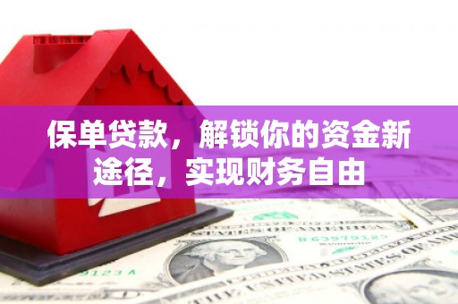 沈河保单贷款，解锁你的资金新途径，实现财务自由