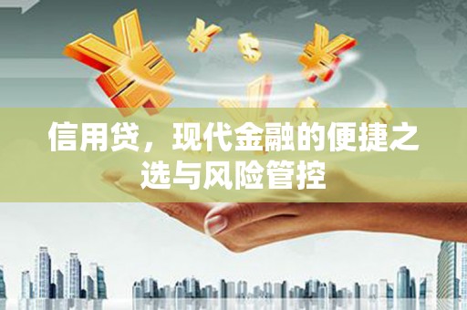 沈河信用贷，现代金融的便捷之选与风险管控
