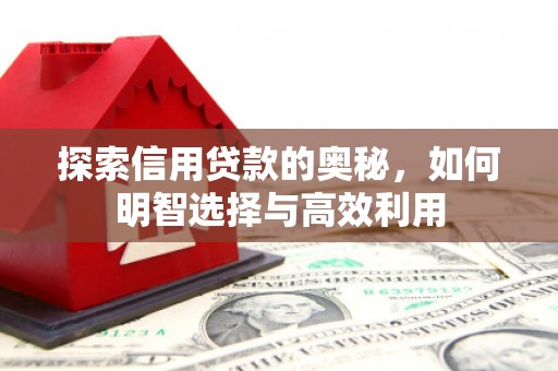 沈河探索信用贷款的奥秘，如何明智选择与高效利用