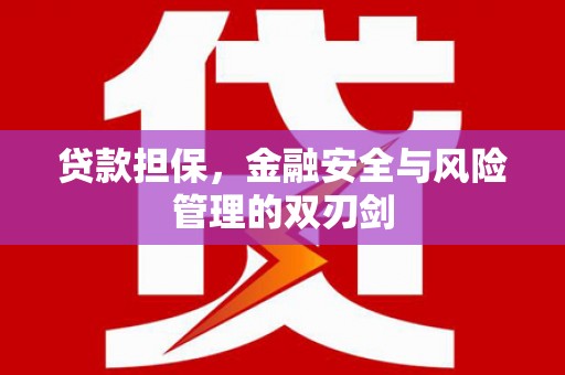 沈河贷款担保，金融安全与风险管理的双刃剑
