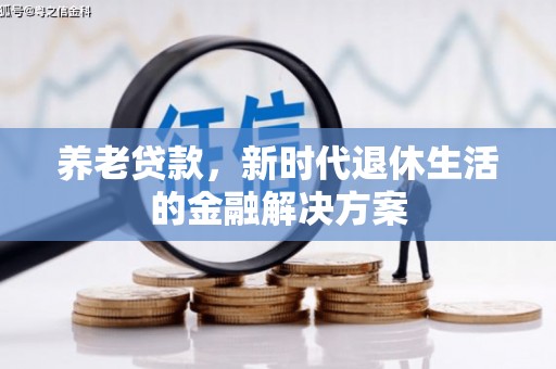 沈河养老贷款，新时代退休生活的金融解决方案