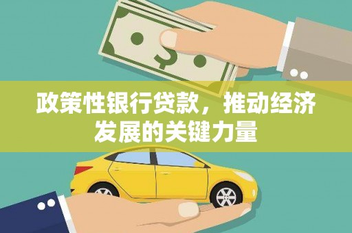 沈河政策性银行贷款，推动经济发展的关键力量