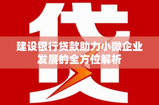 沈河建设银行贷款助力小微企业发展的全方位解析