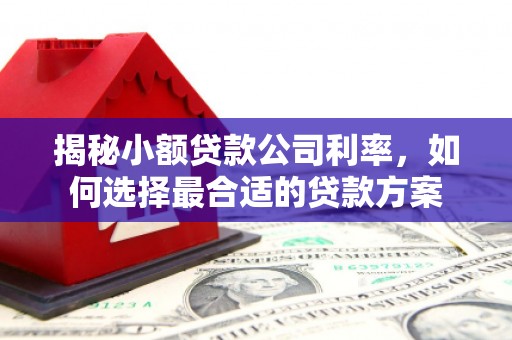 沈河揭秘小额贷款公司利率，如何选择最合适的贷款方案