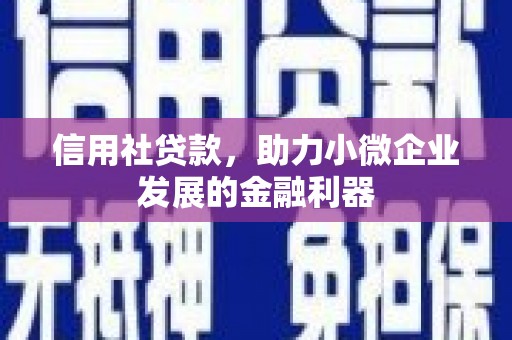 沈河信用社贷款，助力小微企业发展的金融利器
