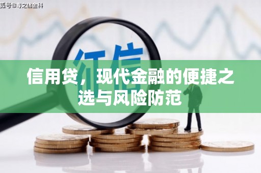 沈河信用贷，现代金融的便捷之选与风险防范