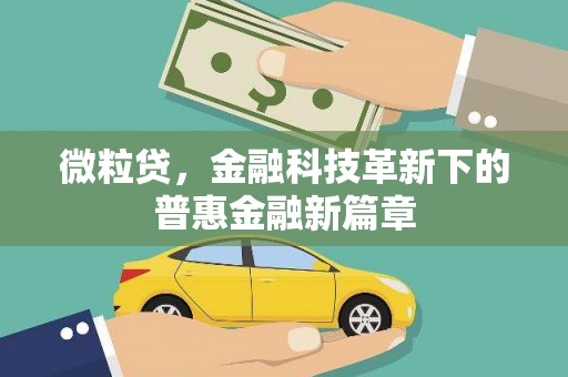 沈河微粒贷，金融科技革新下的普惠金融新篇章