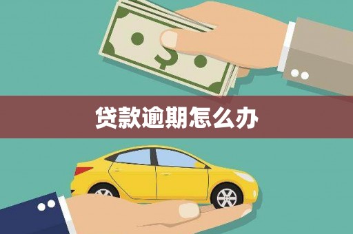 沈河贷款逾期怎么办