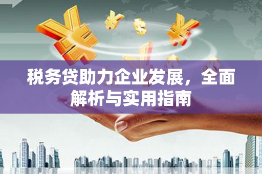 沈河税务贷助力企业发展，全面解析与实用指南
