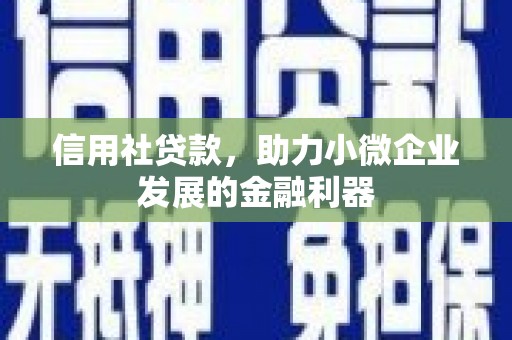 沈河信用社贷款，助力小微企业发展的金融利器