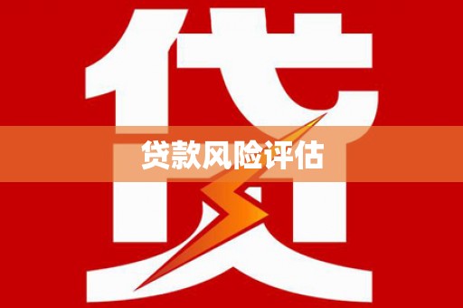 沈河贷款风险评估