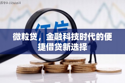 沈河微粒贷，金融科技时代的便捷借贷新选择