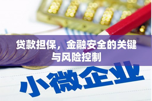 沈河贷款担保，金融安全的关键与风险控制