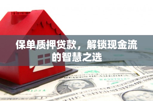 沈河保单质押贷款，解锁现金流的智慧之选