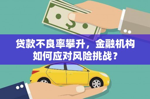 沈河贷款不良率攀升，金融机构如何应对风险挑战？