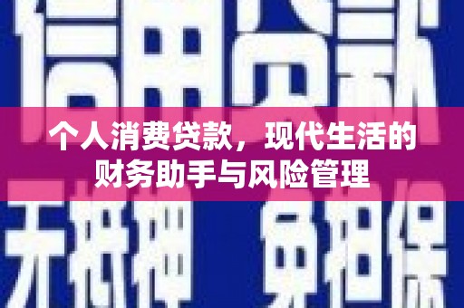 沈河个人消费贷款，现代生活的财务助手与风险管理