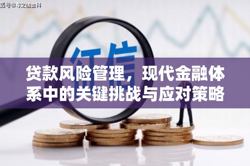 沈河贷款风险管理，现代金融体系中的关键挑战与应对策略