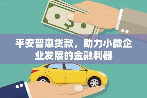 沈河平安普惠贷款，助力小微企业发展的金融利器