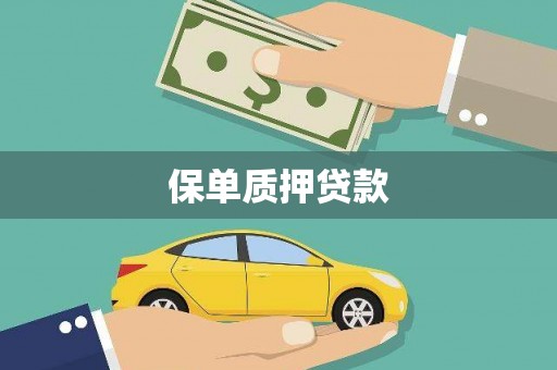 沈河保单质押贷款